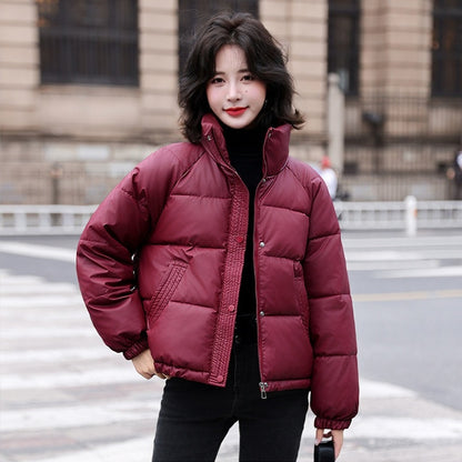 Puffer Jacket