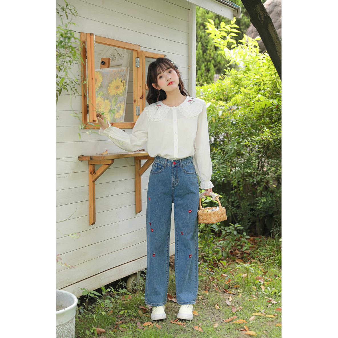 Simplicity Anti-Aging Embroidery Loose Fit Long Sleeve Blouse