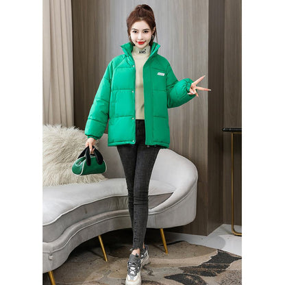 Solid Hooded Cropped Puffer Jacket